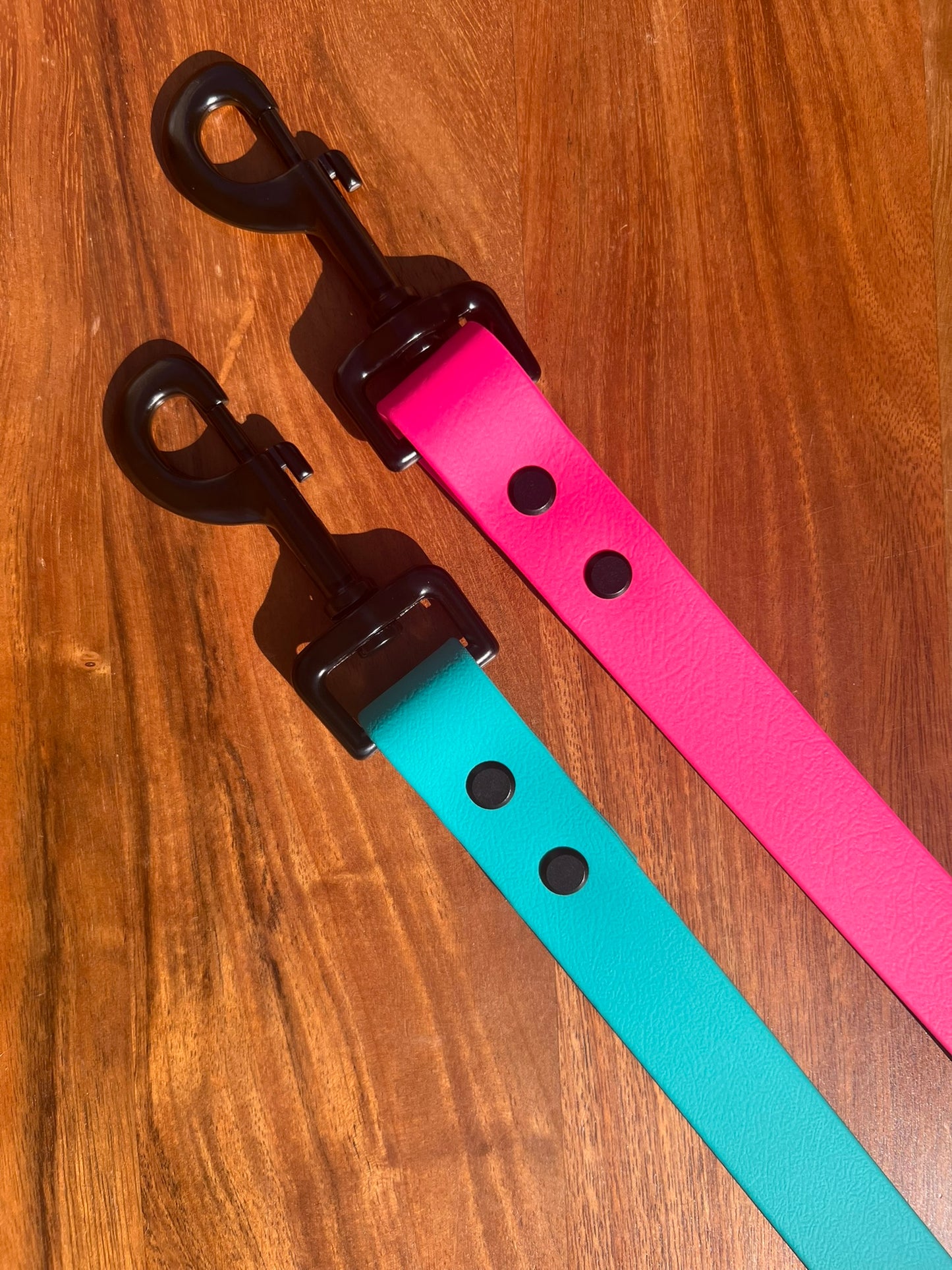 Teal Biothane Dog Leash
