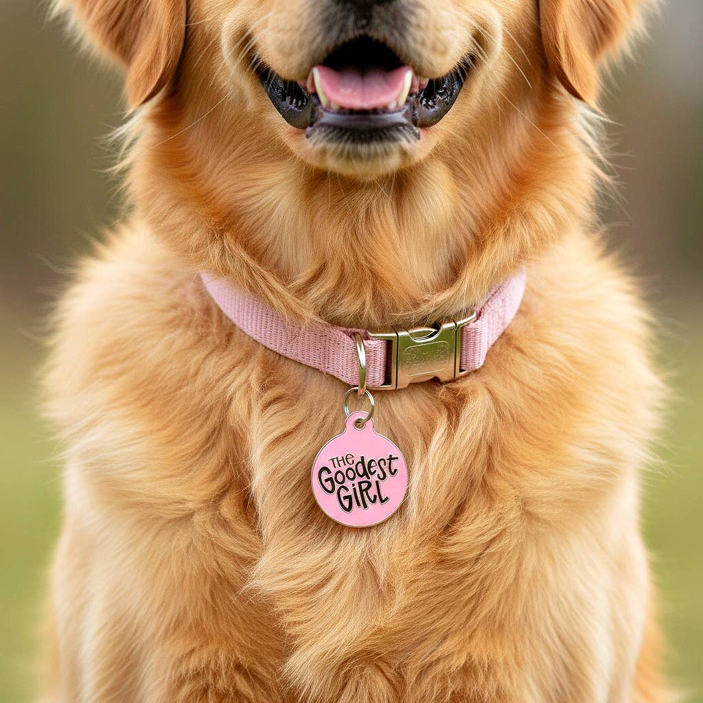 QR ID Tag - The Goodest Girl