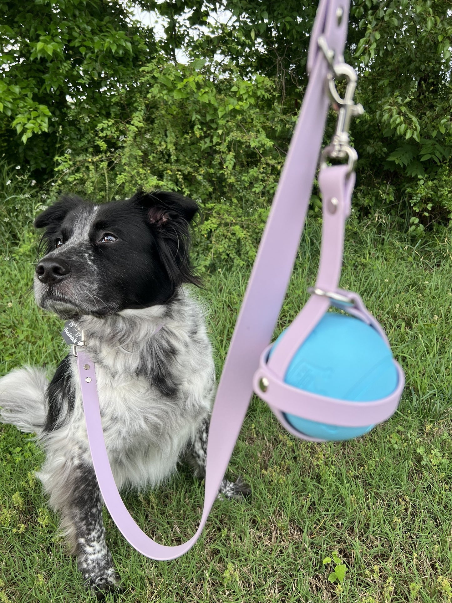 Biothane Ball Holder