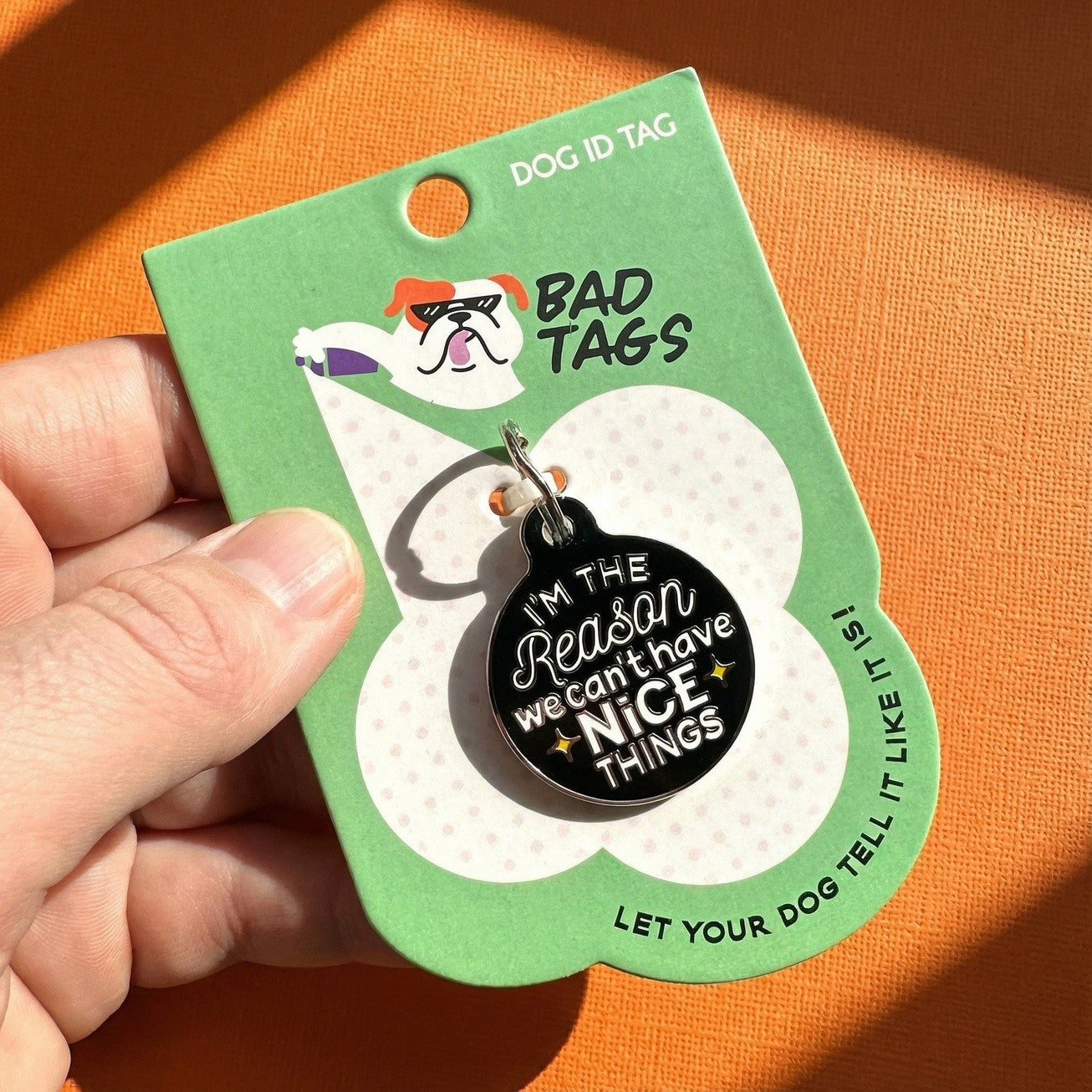 QR ID Tag - I'm The Reason We Can't Have Nice Things