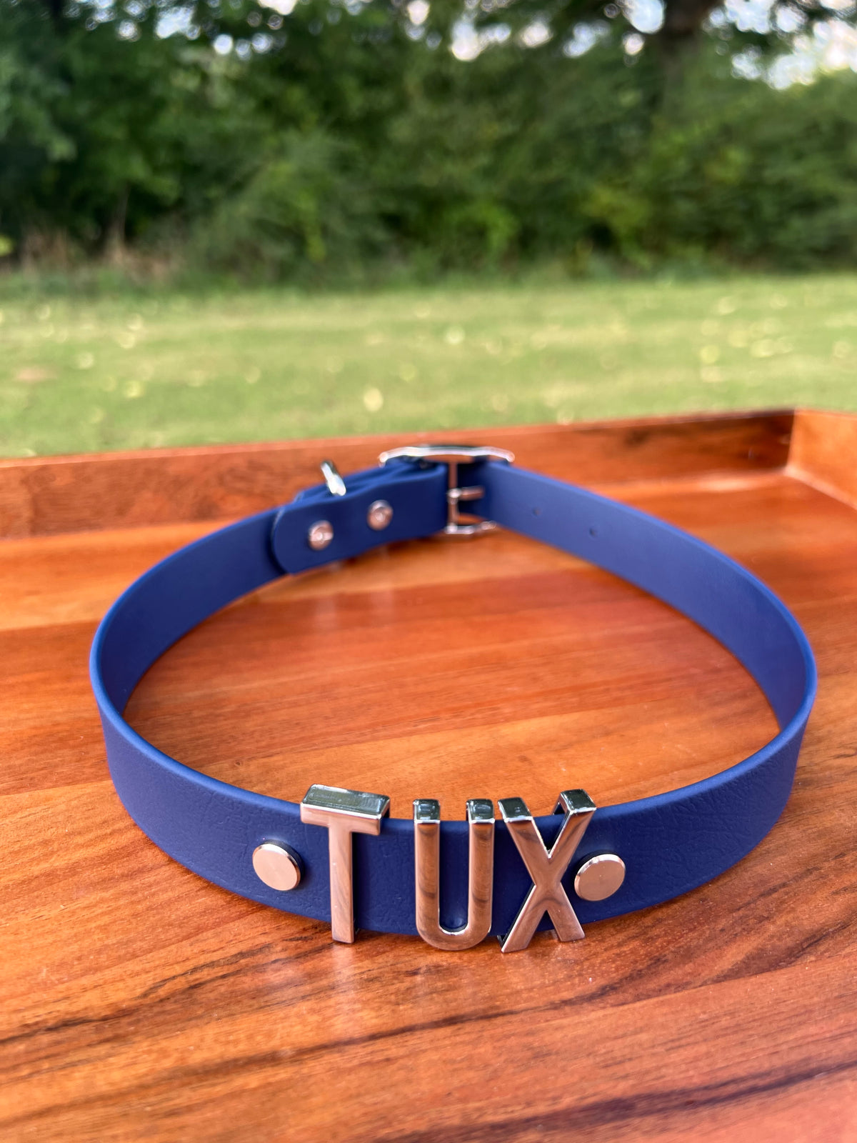 Indigo Biothane Dog Collar