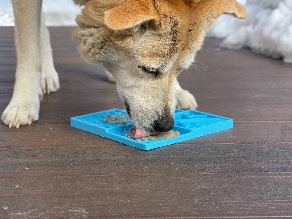 Celestial Snacker Enrichment Lick Mat