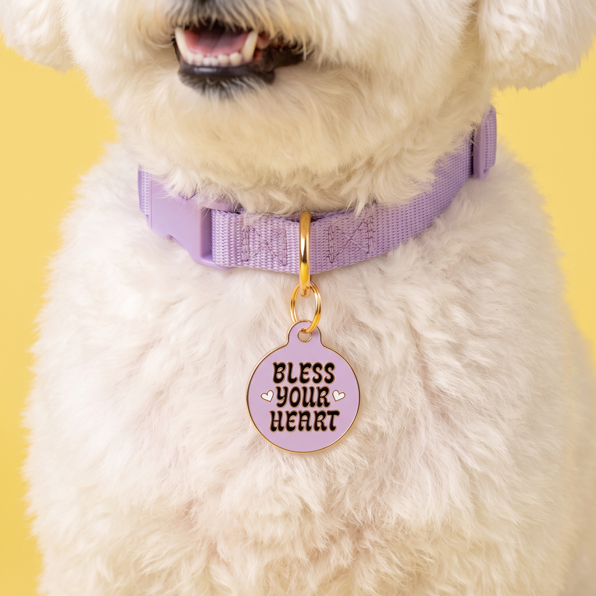 QR ID Tag - Bless Your Heart