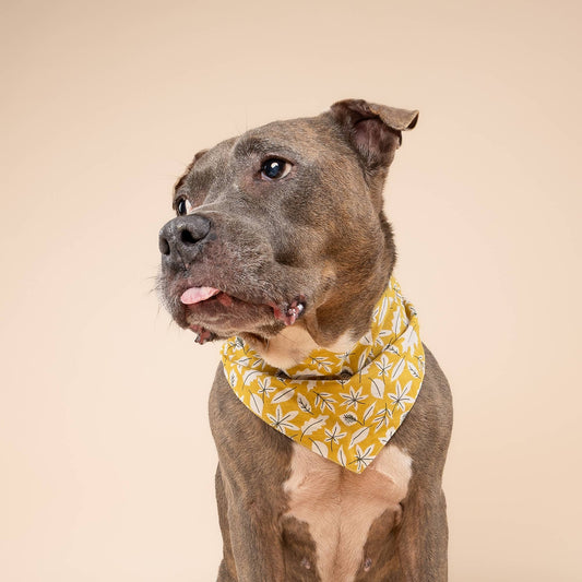 Golden Fall Leaves Dog Bandana