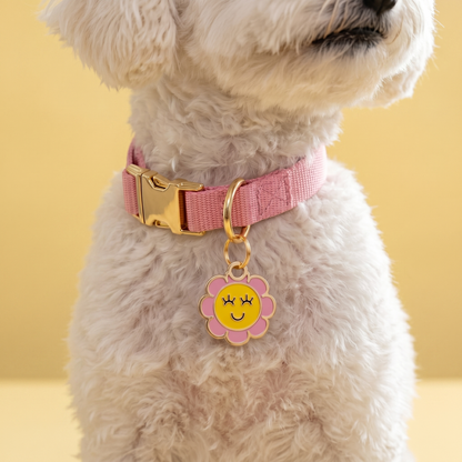 QR ID Tag - Golden Daisy