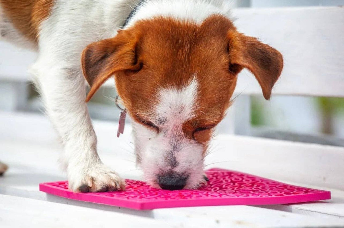 Flower Power Enrichment Lick Mat