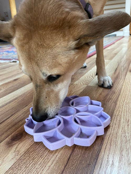 Mandala Effect Shallow Slow Feeder Dog Bowl