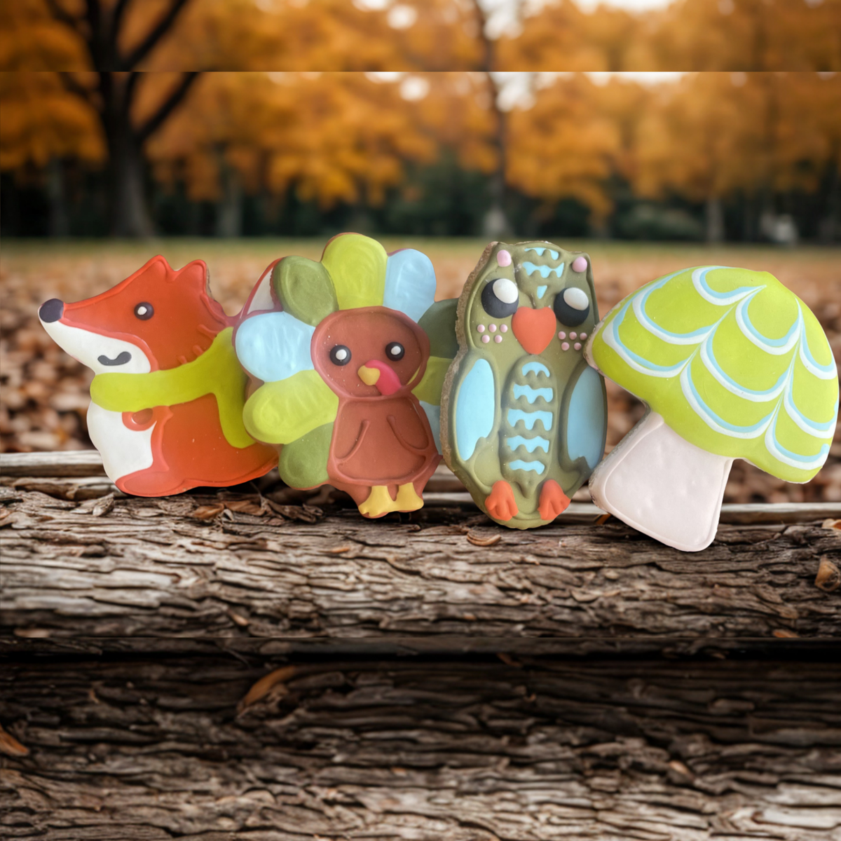 Cookie: Woodland Owl