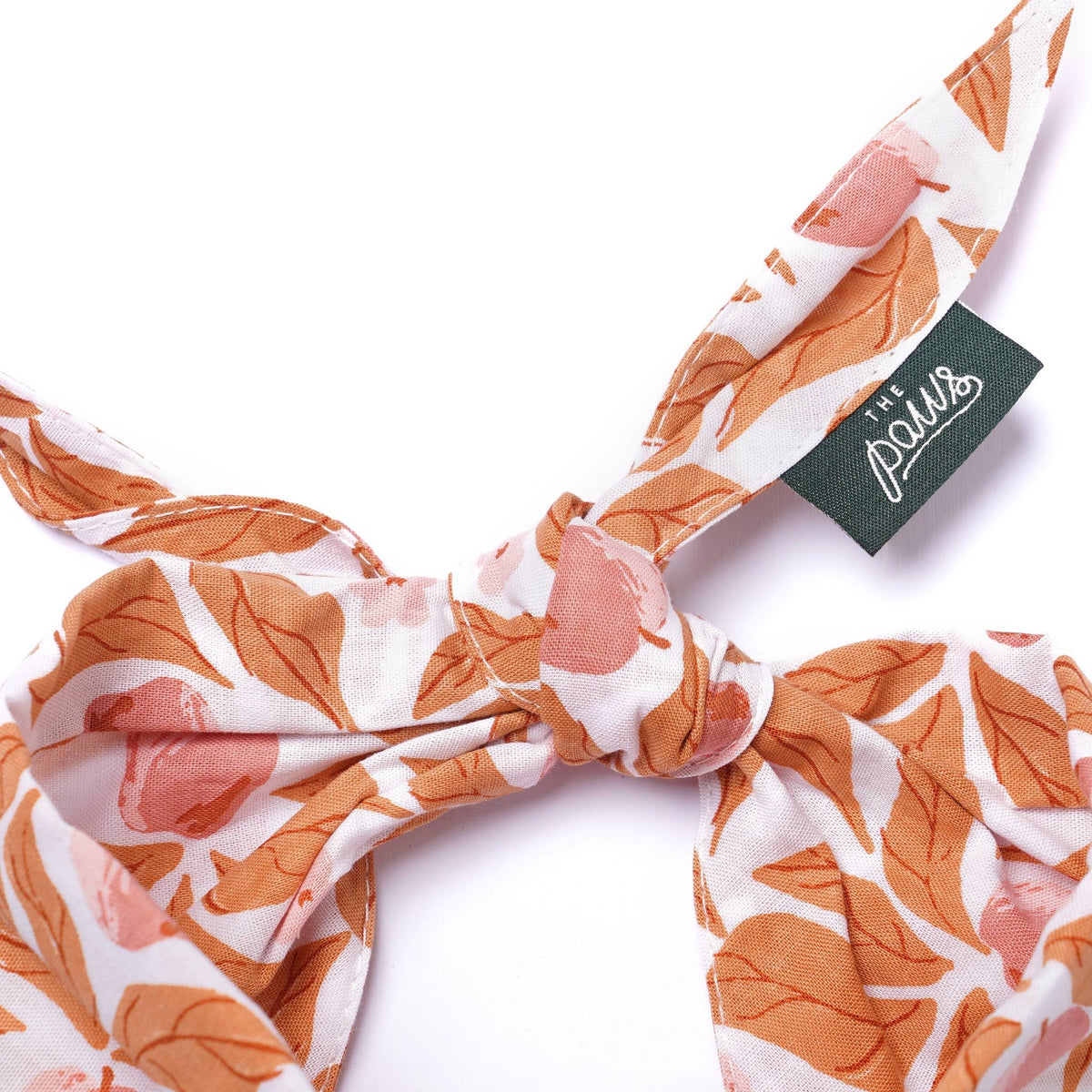 Apple Crisp Dog Bandana