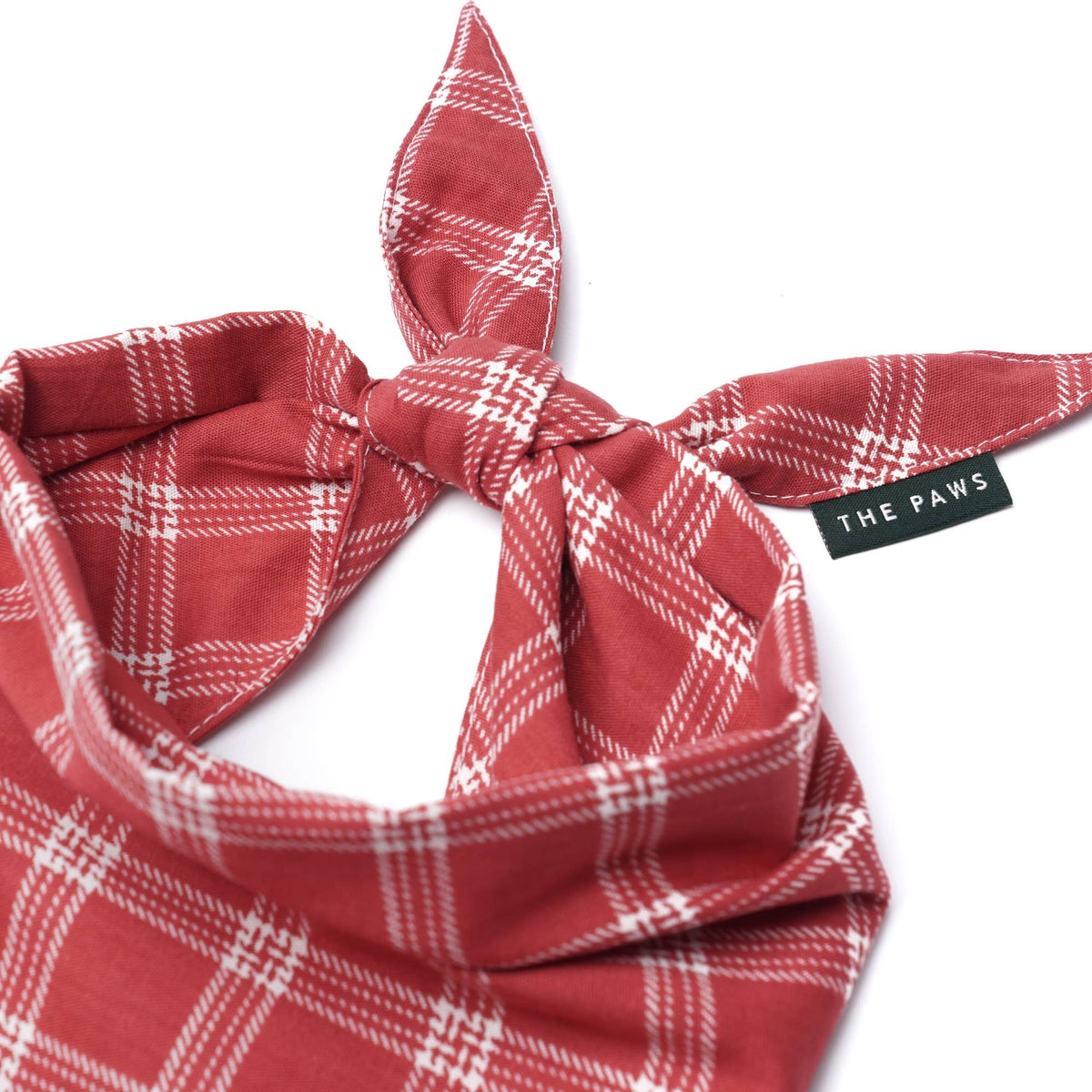 Cider Dog Bandana