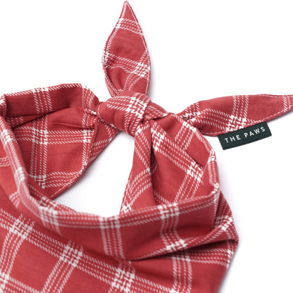Cider Dog Bandana