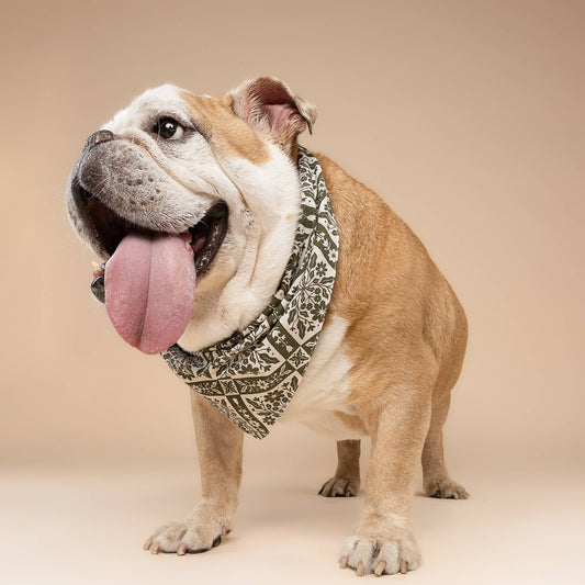 Fernwood Dog Bandana