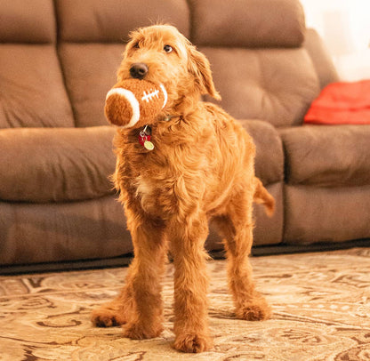 ThoozyPet Football Plush Dog Toy 6.5"