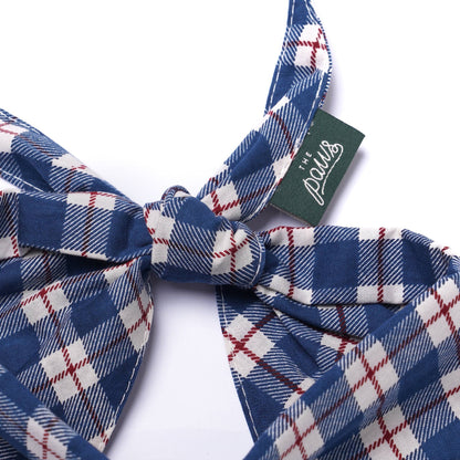 Apres Dog Bandana