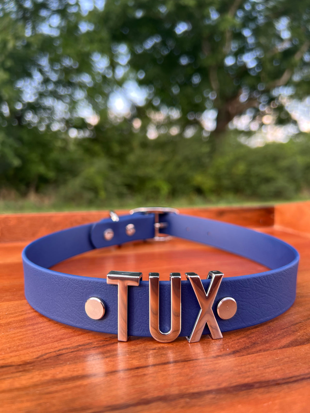 Indigo Biothane Dog Collar