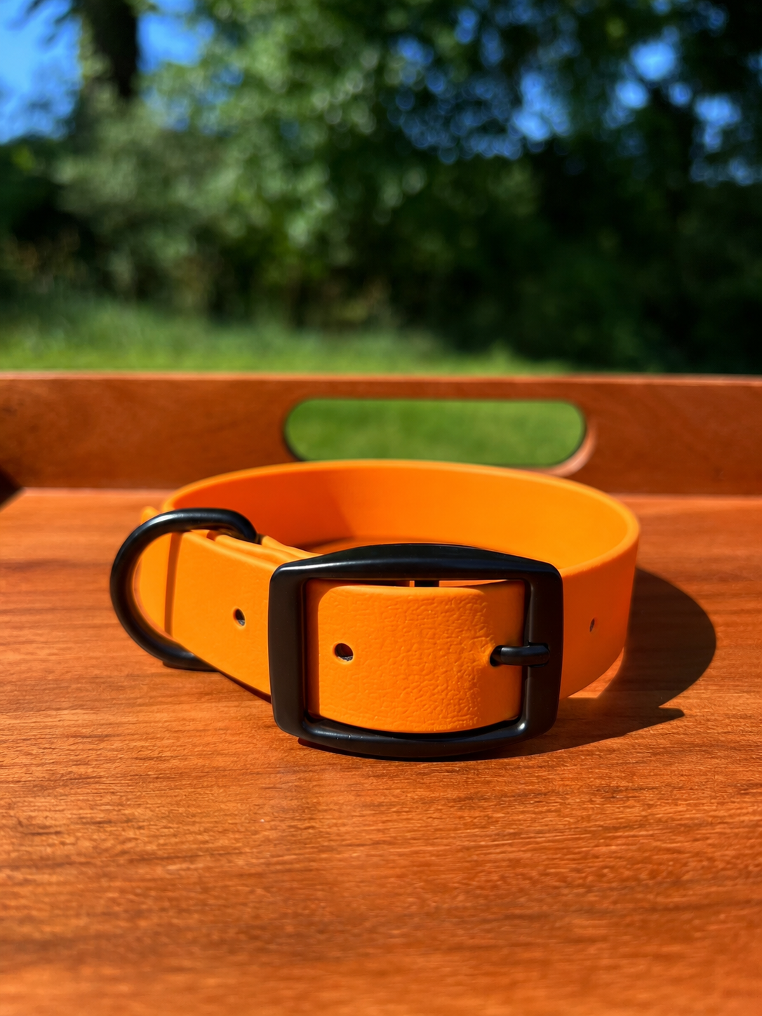 Tangerine Biothane Dog Collar