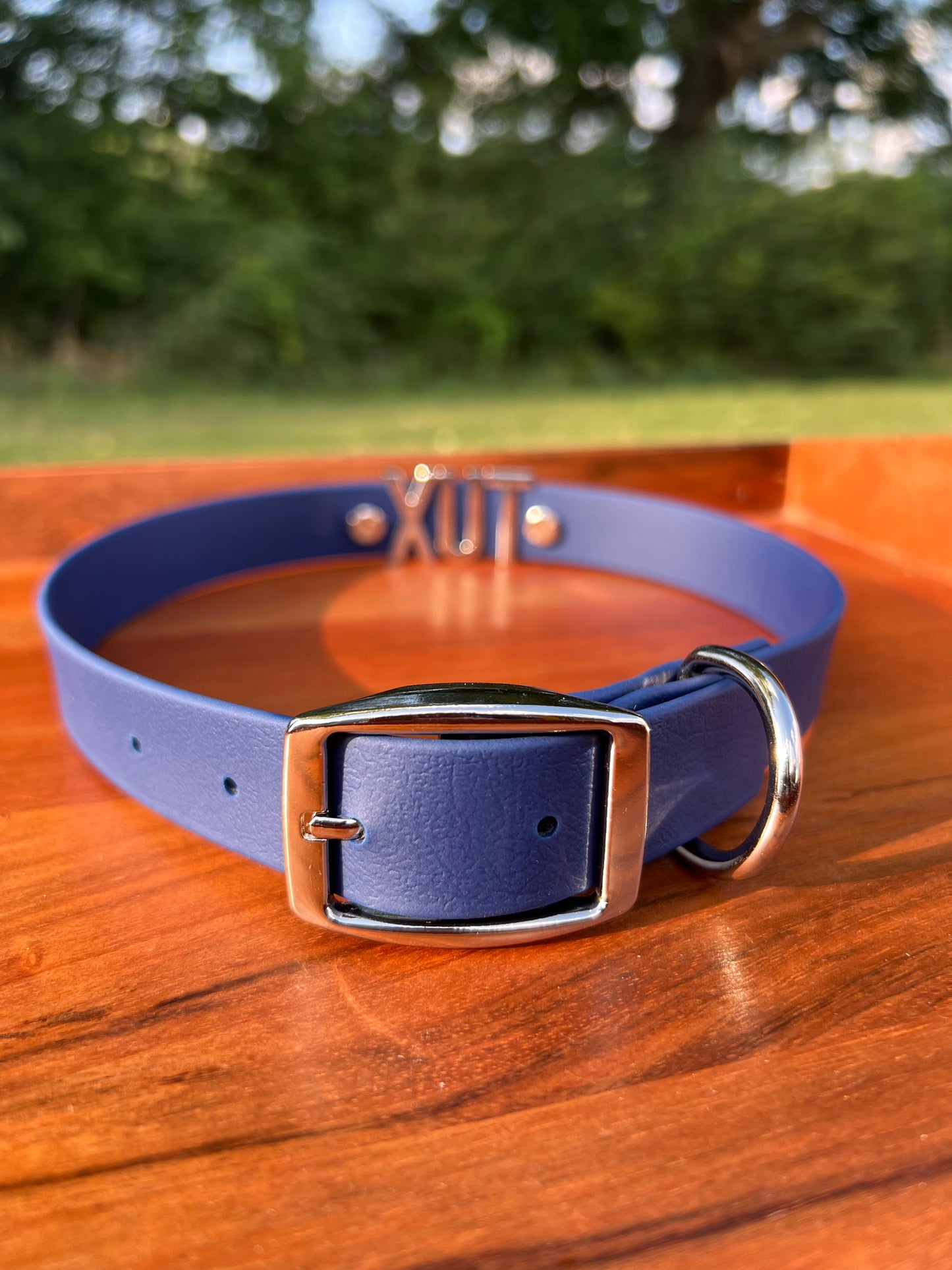 Indigo Biothane Dog Collar