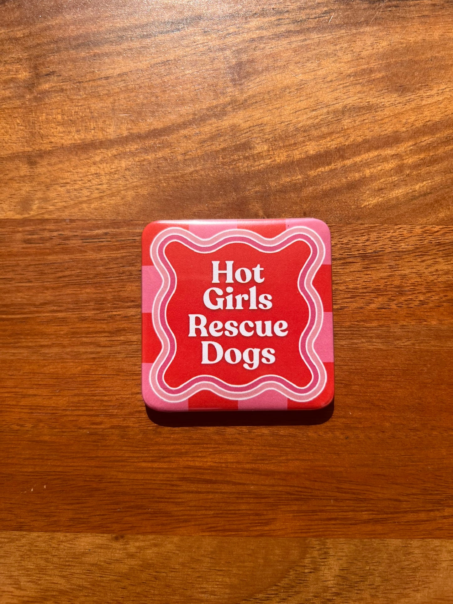 'Hot Girls Rescue Dogs' Magnet
