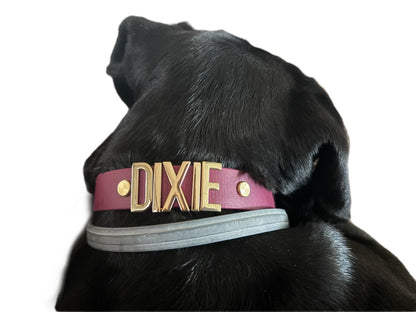Wine Red Biothane Dog Collar