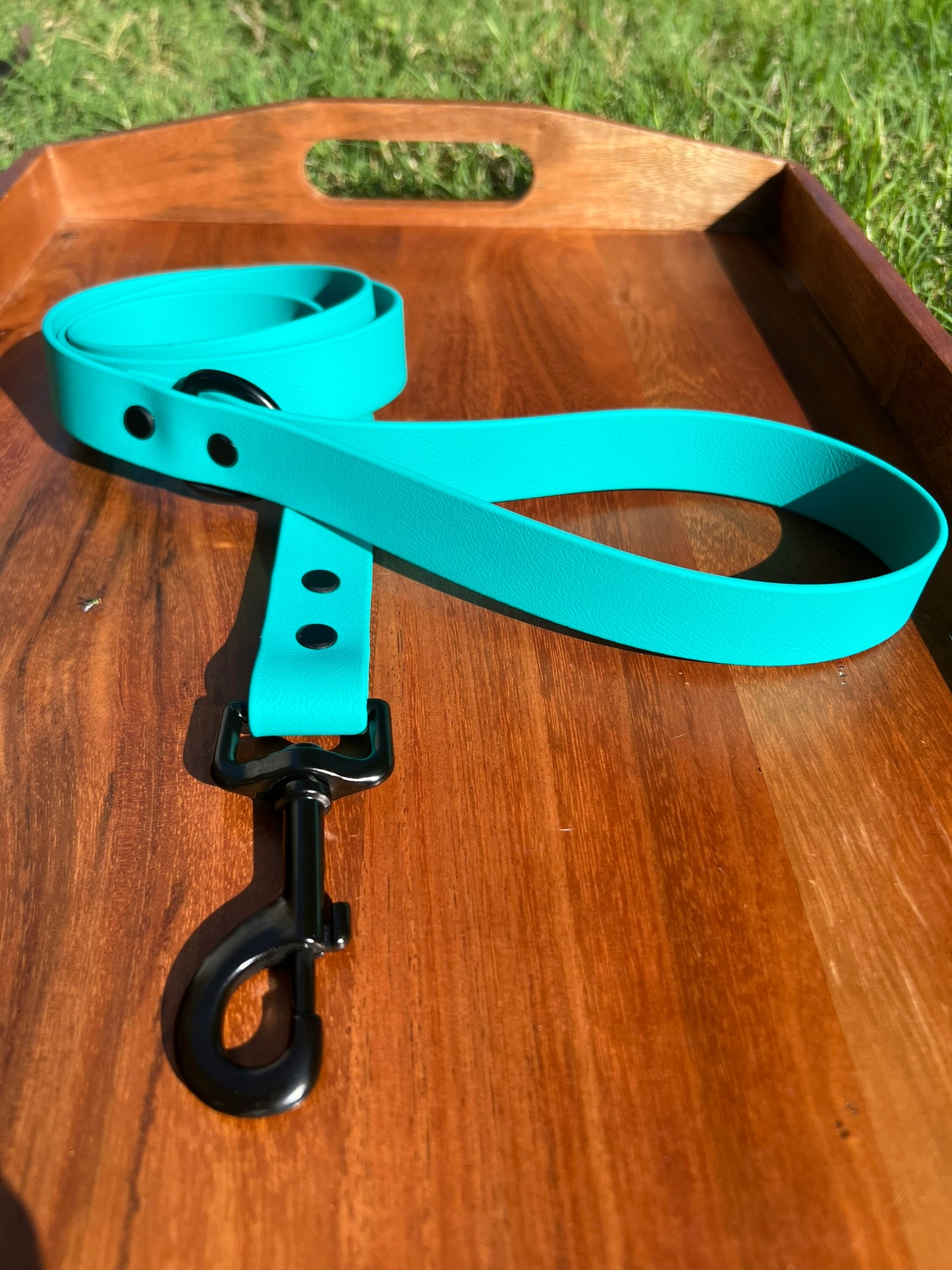 Teal Biothane Dog Leash