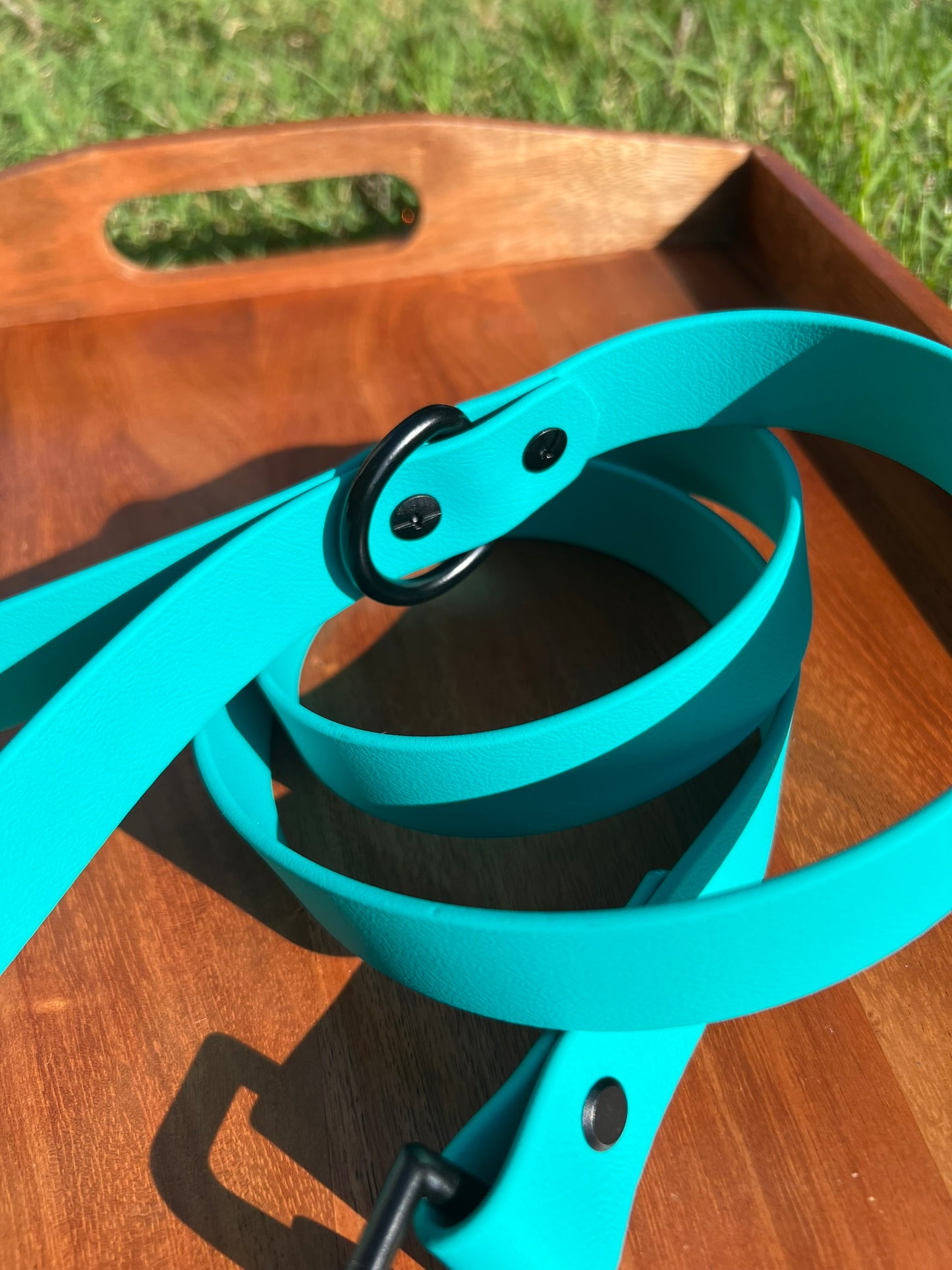 Teal Biothane Dog Leash