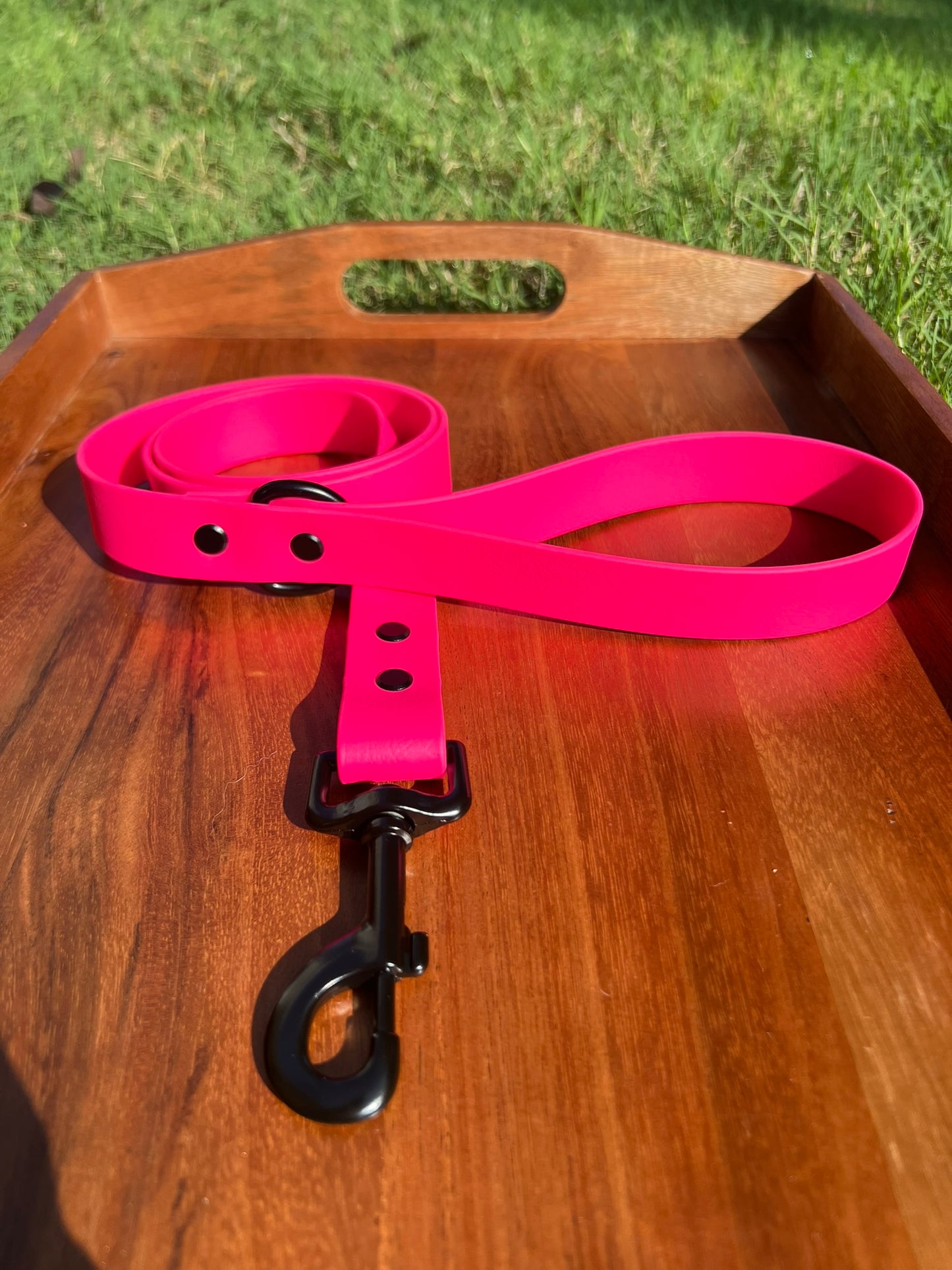 Hot Pink Biothane Dog Leash