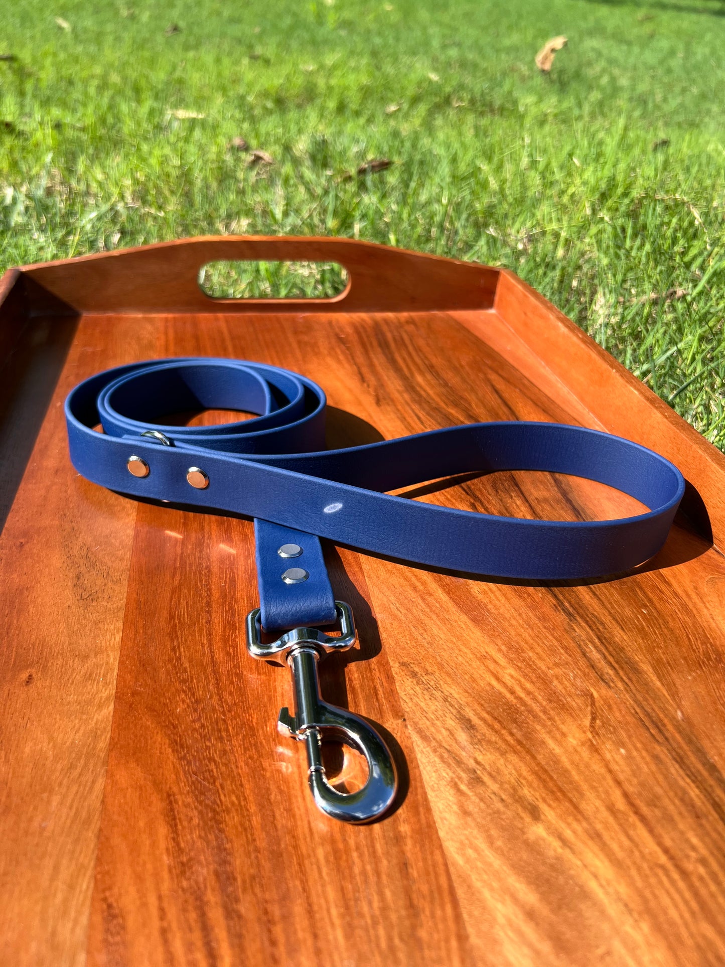 Indigo Biothane Dog Leash
