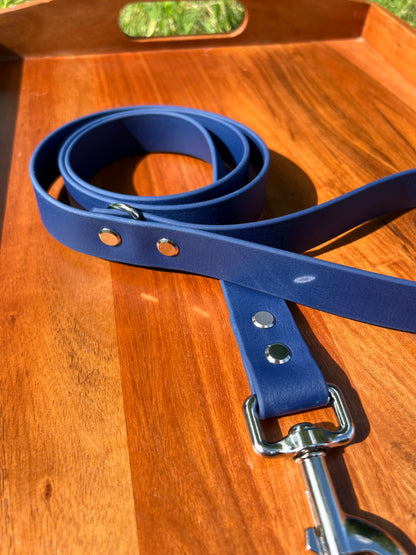Indigo Biothane Dog Leash