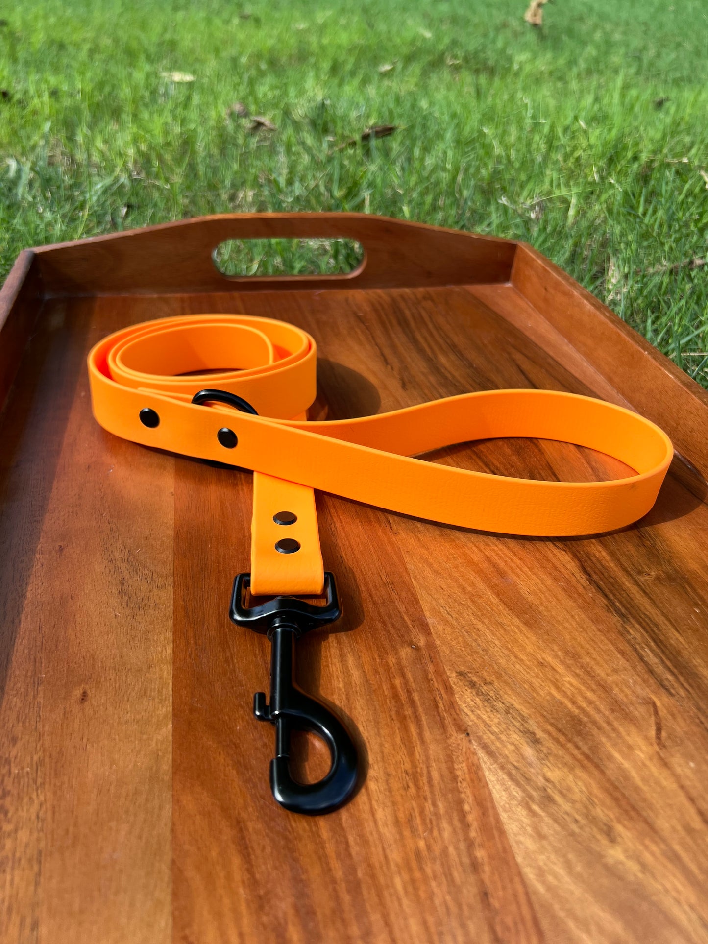 Tangerine Biothane Dog Leash