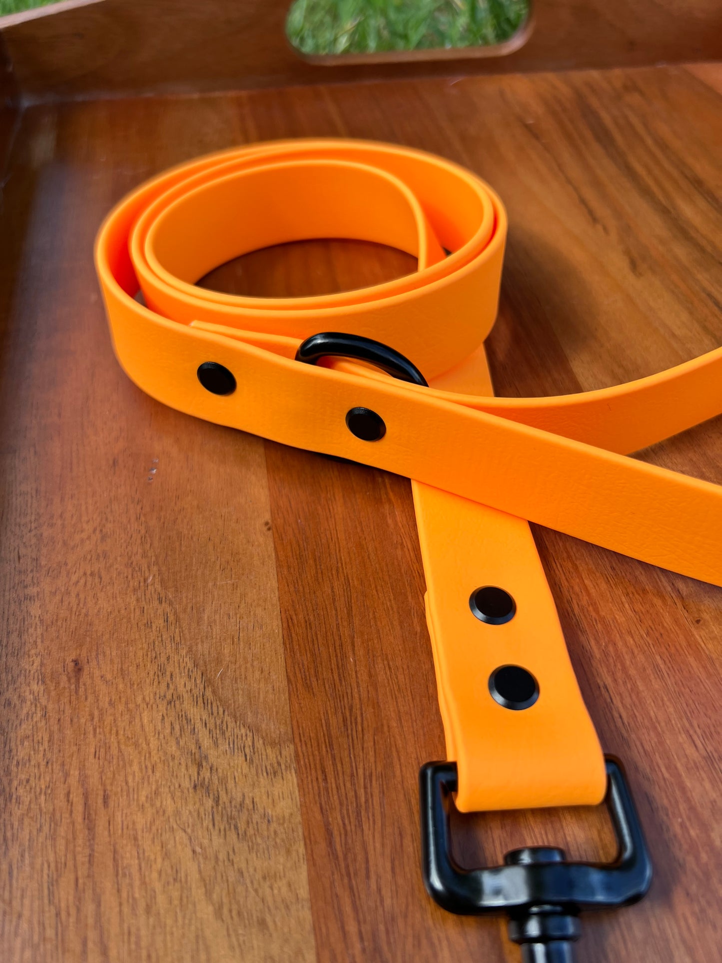 Tangerine Biothane Dog Collar