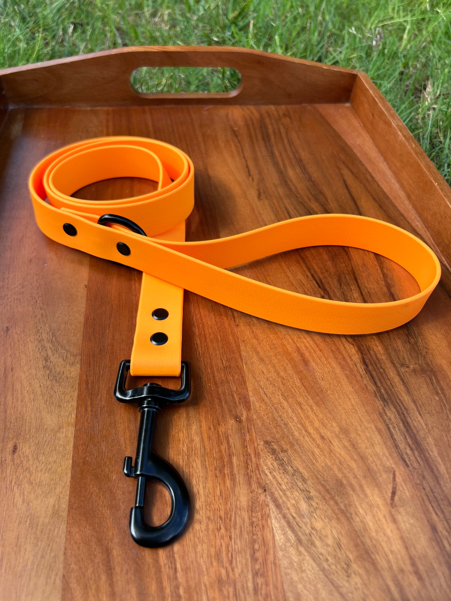 Tangerine Biothane Dog Leash