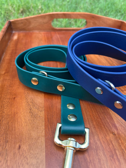 Emerald Biothane Dog Leash