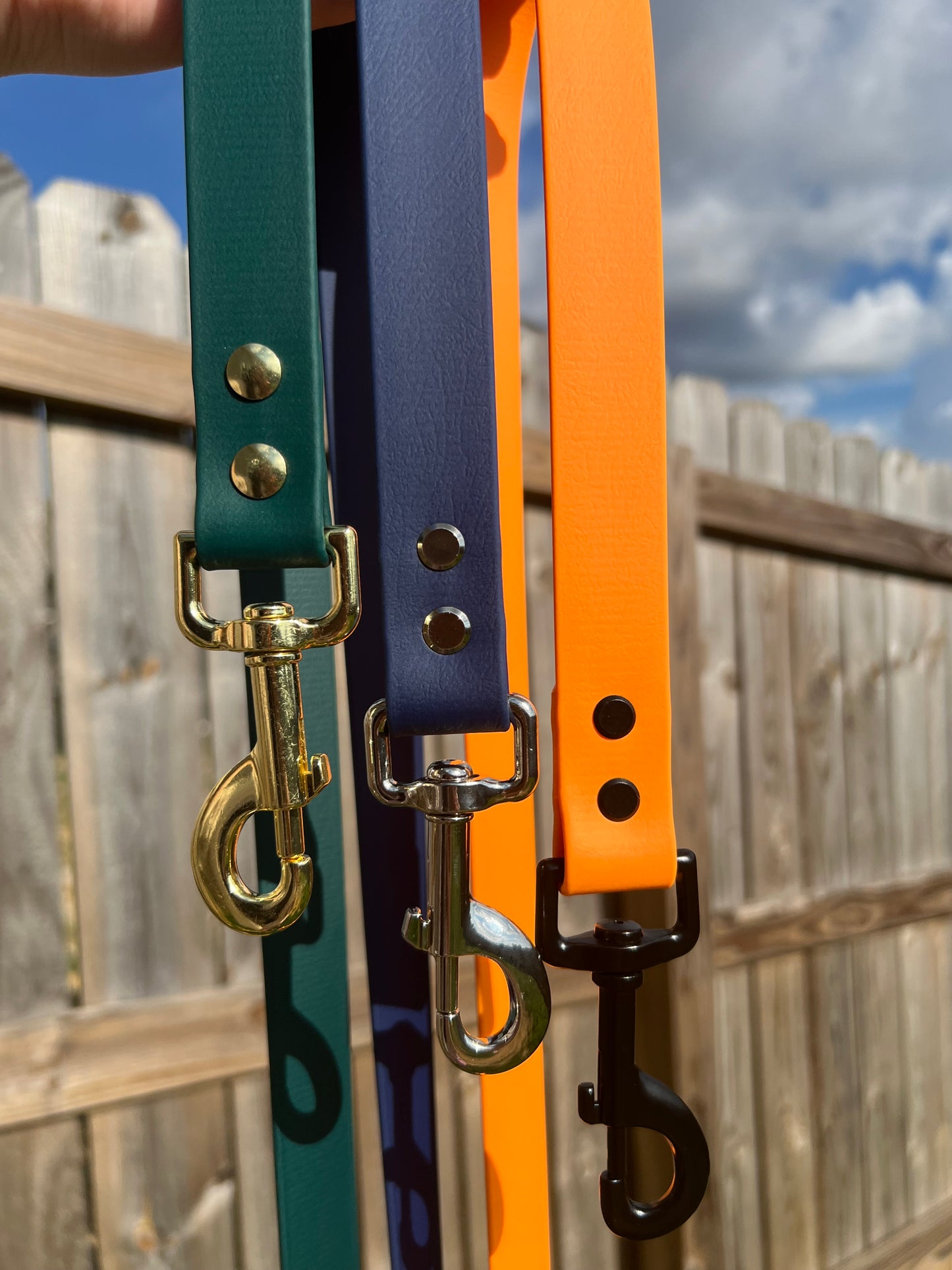 Emerald Biothane Dog Leash