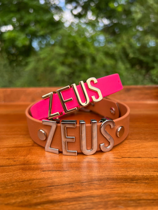 Hot Pink Biothane Dog Collar