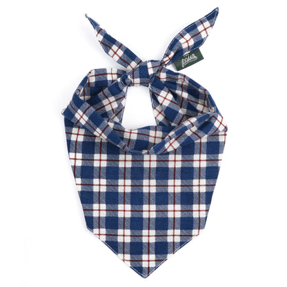 Apres Dog Bandana