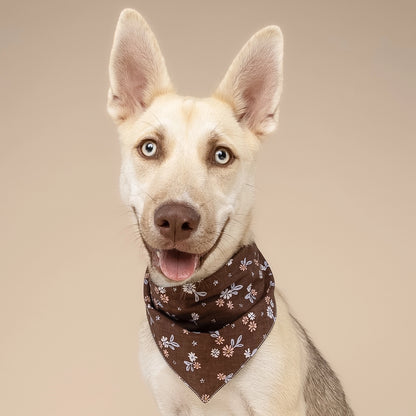 Hazel Dog Bandana