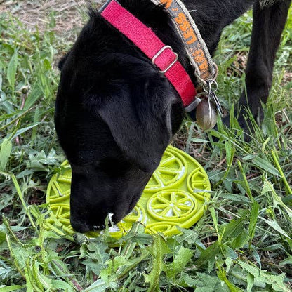 Feeling Zesty Enrichment Lick Mat