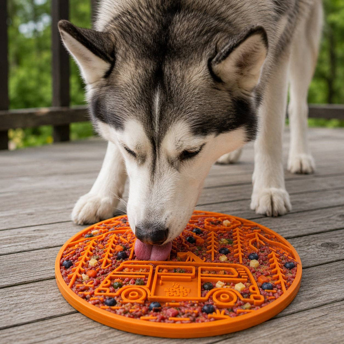 Adventure Buddy Enrichment Lick Mat
