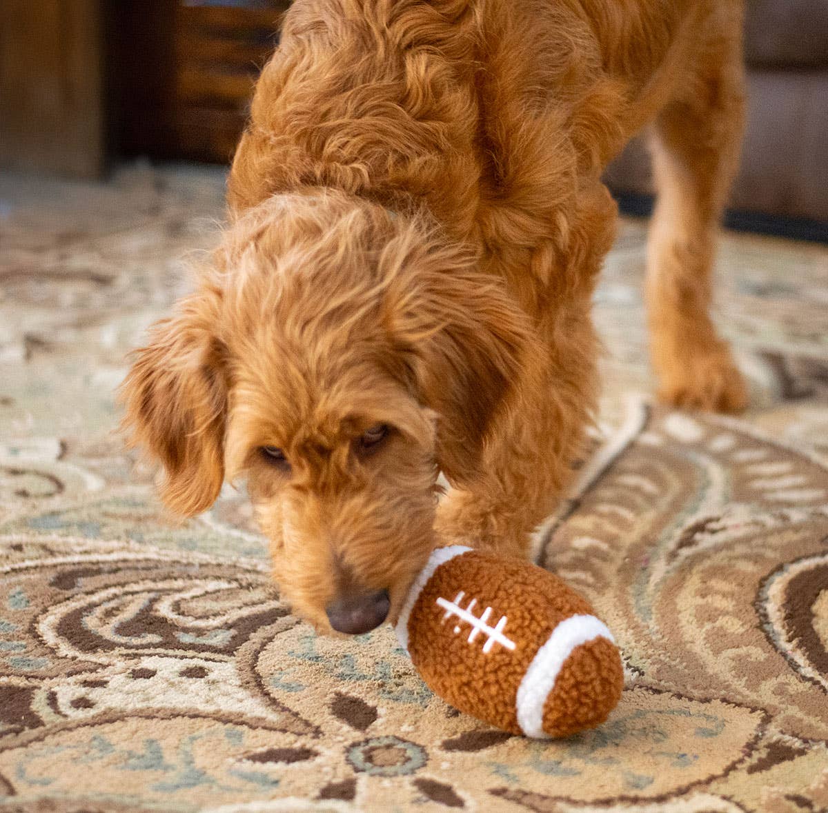 ThoozyPet Football Plush Dog Toy 6.5"