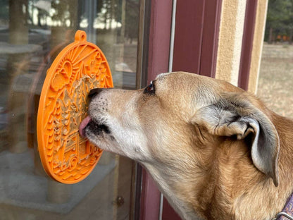 Adventure Buddy Enrichment Lick Mat