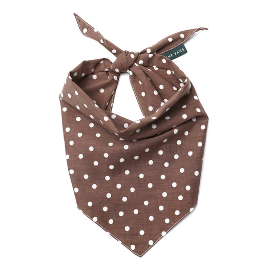 Chocolate Dot Dog Bandana