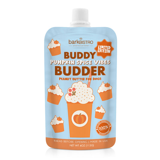 Pumpkin Spice Vibes Buddy Budder