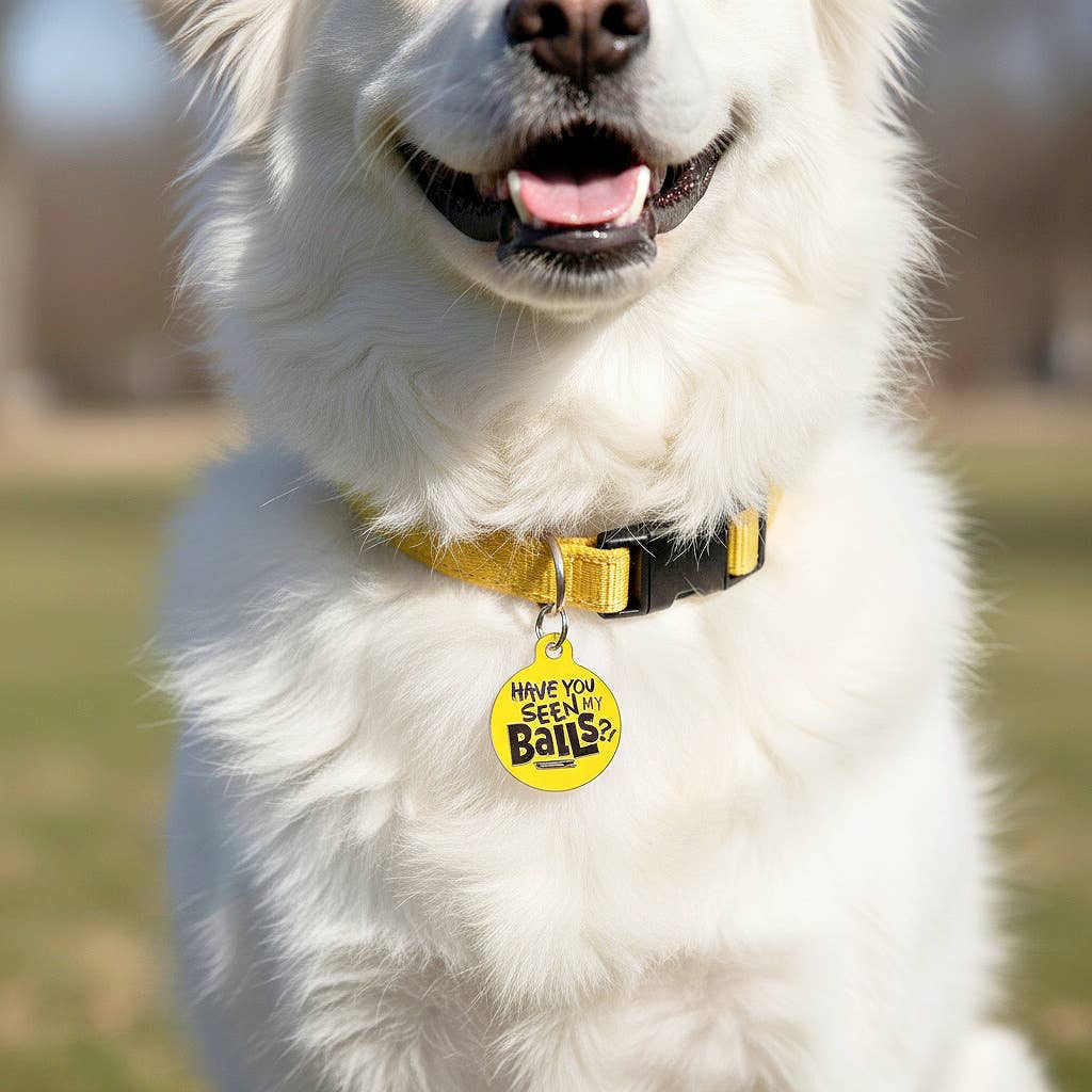 QR ID Tag - Have You Seen my Balls?!