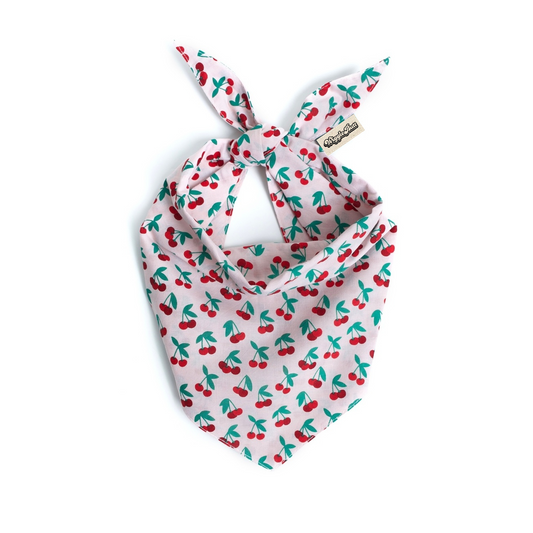 Wild Cherry Dog Bandana