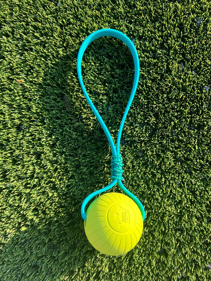 Biothane Ball Tug Toy - Supreme