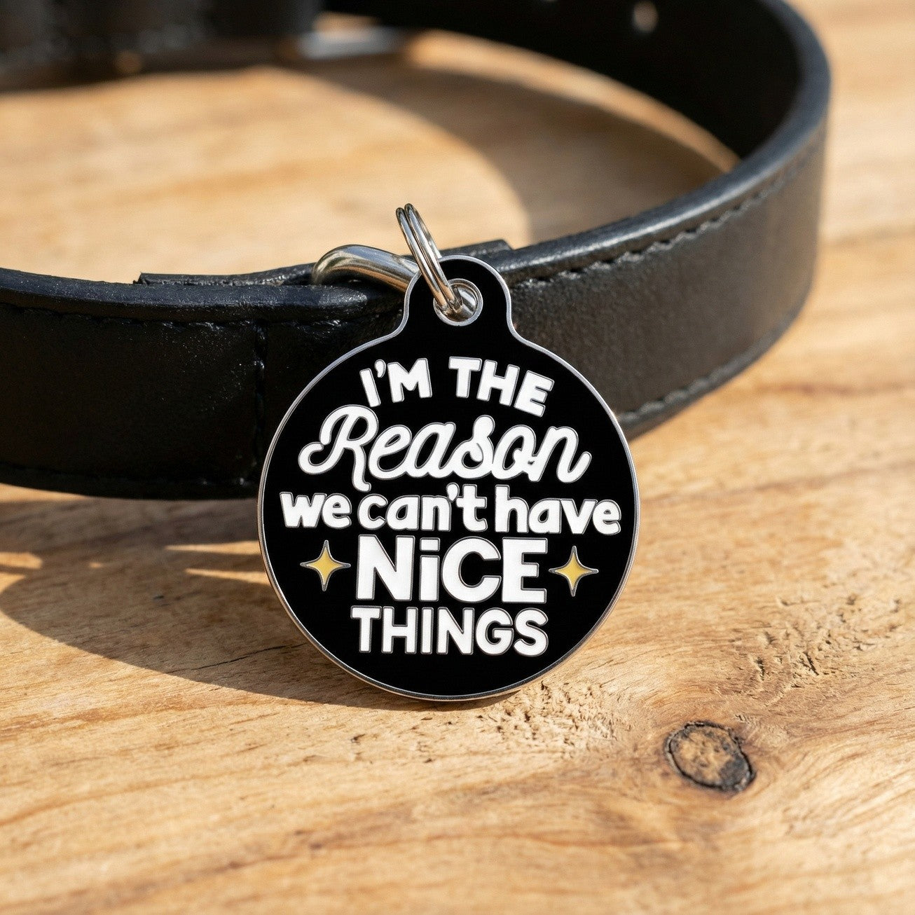 QR ID Tag - I'm The Reason We Can't Have Nice Things