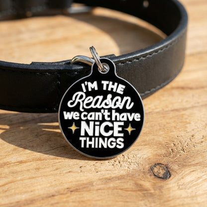 QR ID Tag - I'm The Reason We Can't Have Nice Things
