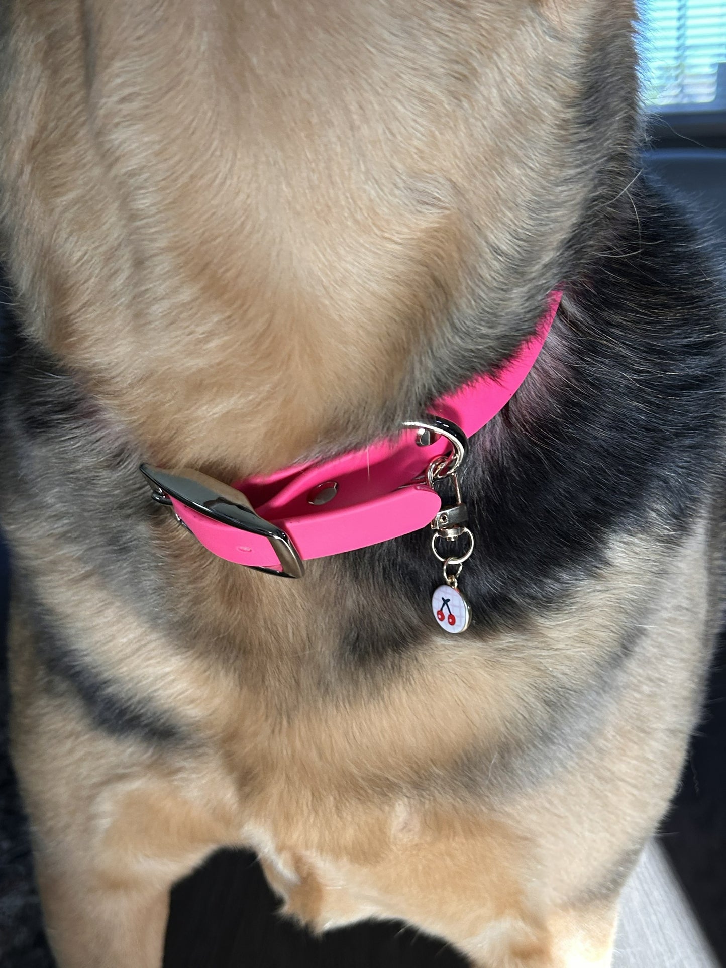 Collar Charm - Rosie Posie