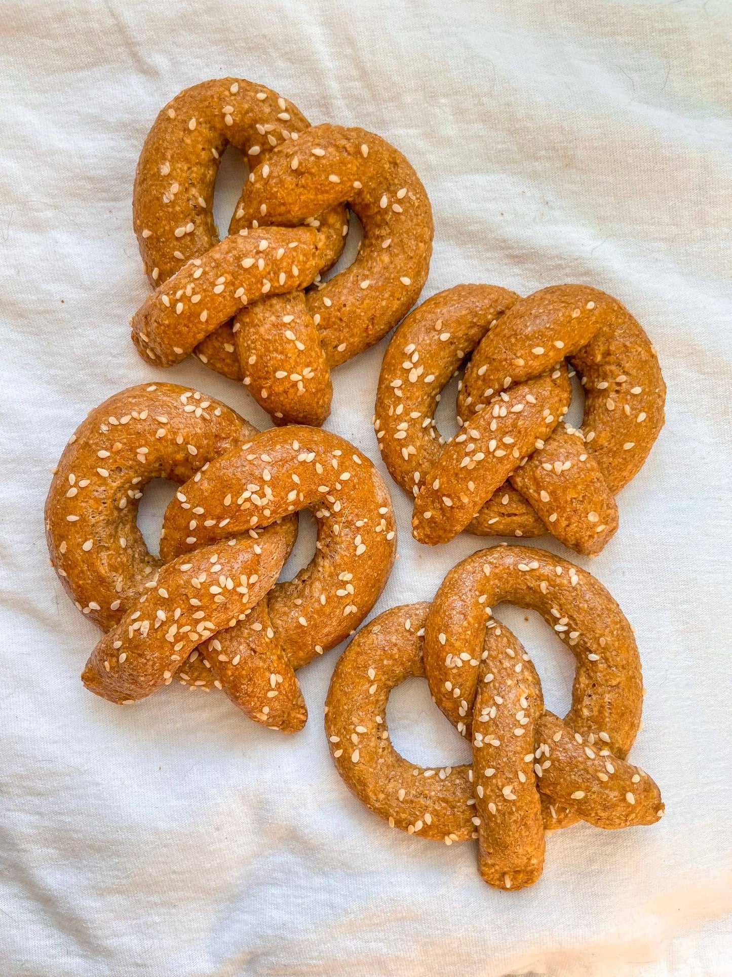 Parmesan Pretzel Dog Biscuit