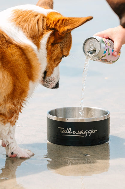 Tailwagger Craft Dog Beer